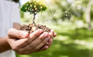 investimenti sostenibili strategie