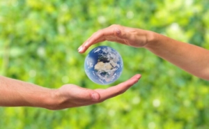 investimenti sulla sostenibilità in crescita