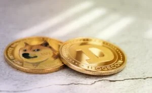 Dogecoin2014