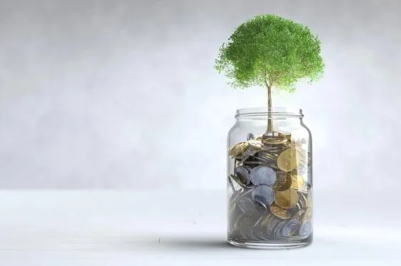 Dove mettere i risparmi per farli fruttare o mantenerli al sicuro