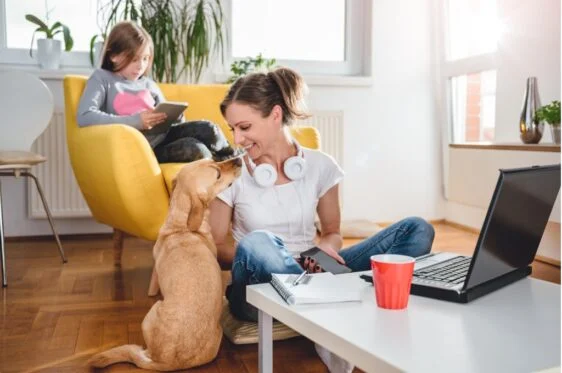 Lavorare da casa online: idee serie per guadagnare nel %anno%