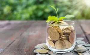 rendimenti fondi monetari