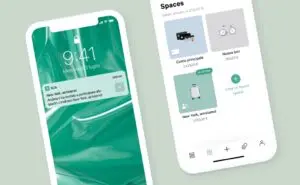 n26 conto cointestato